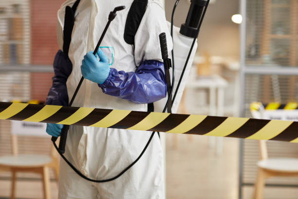 Professional Blood Cleanup technician working in Paisley, FL